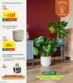 Horta folder Pagina 8