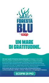 Volantino Ipercoop | Auto Pagina 18