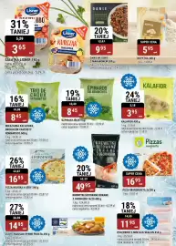 Bi1 gazetka Strona 15