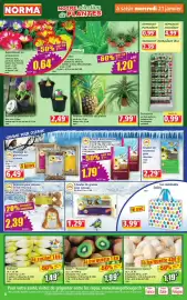 Norma folder week 4 Pagina 4