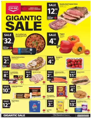 Co-op flyer (valid until 28-01)