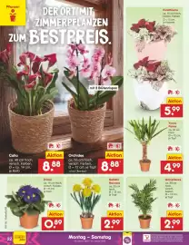 Netto Marken-Discount Prospekt woche 5 Seite 24