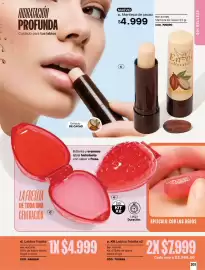 Catálogo Carmel Página 203