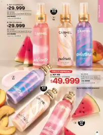 Catálogo Carmel Página 211