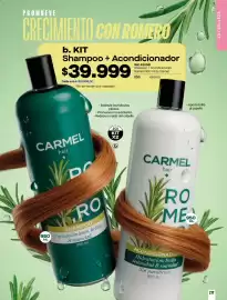 Catálogo Carmel Página 217