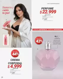 Catálogo Carmel Página 256