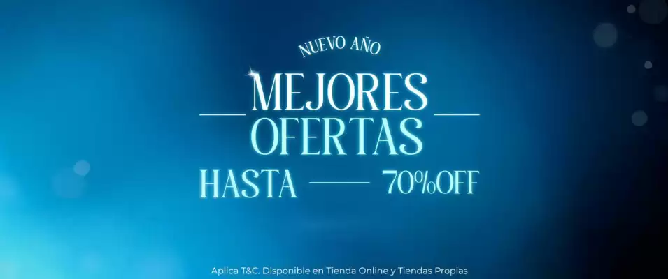 Catálogo Chamela (válido hasta 31-01)