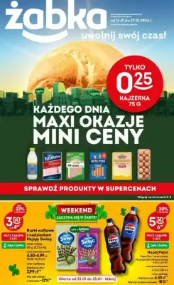 Żabka gazetka (ważność do 27-01)