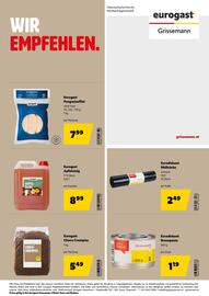 Eurogast Grissemann Flugblatt Seite 28