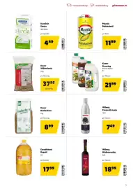 Eurogast Grissemann Flugblatt Seite 13