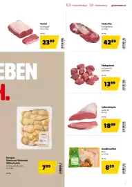 Eurogast Grissemann Flugblatt Seite 7