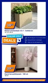 Action folder week 5 Pagina 37