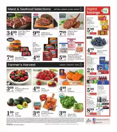 Pavilions weekly ad week 4 Page 4