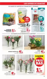 Catalogue Bi1 page 33