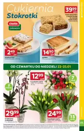 Stokrotka Market gazetka tydzień 4 Strona 5