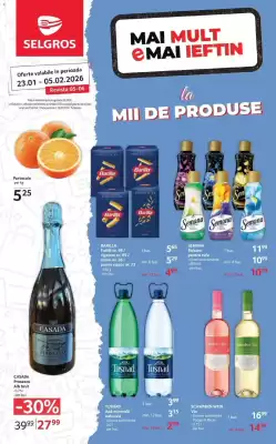 Catalog Selgros (valid până la 5-02)