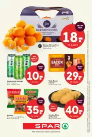 SPAR tilbudsavis uge 4 Side 20