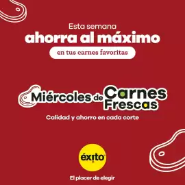 Catálogo Éxito Página 1