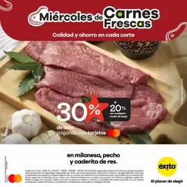 Catálogo Éxito Página 2