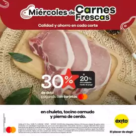 Catálogo Éxito Página 3