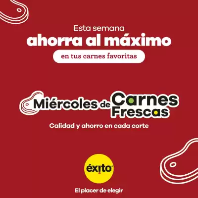 Catálogo Éxito (válido hasta 21-01)