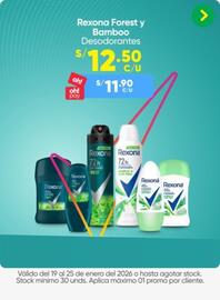 Catálogo InkaFarma Página 12