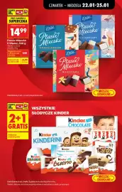 Biedronka gazetka tydzień 4 Strona 13