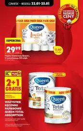 Biedronka gazetka tydzień 4 Strona 17