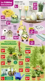 Thomas Philipps Prospekt woche 5 Seite 4