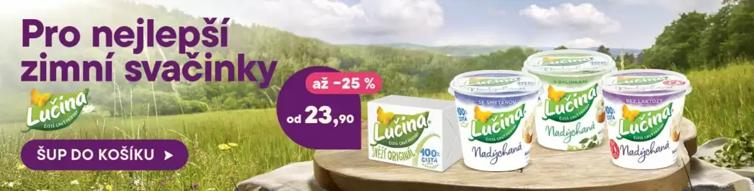 Košík leták Strana 4