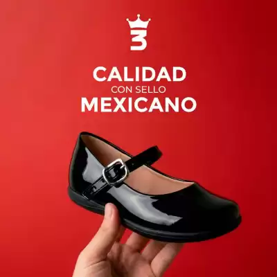 Catálogo Zapaterías 3 Hermanos (válido hasta 31-01)
