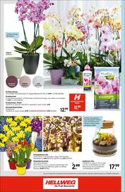 Hellweg Prospekt woche 4 Seite 16