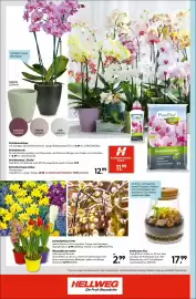 Hellweg Prospekt woche 4 Seite 16