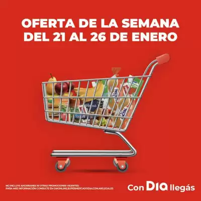 Folleto Supermercados DIA (válido hasta 26-01)