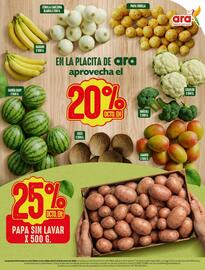 Catálogo Ara Página 14