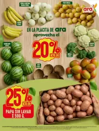 Catálogo Ara Página 14