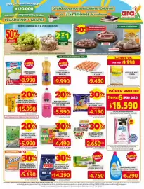 Catálogo Ara Página 3