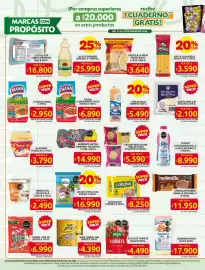 Catálogo Ara Página 4