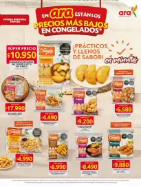 Catálogo Ara Página 9