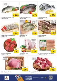 Nesto catalogue Page 17