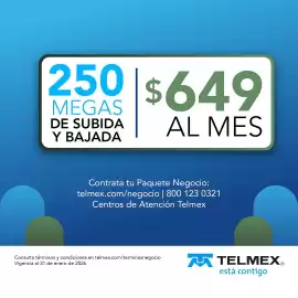 Catálogo Telmex Página 4