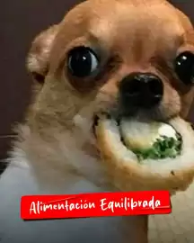 Catálogo GNC Página 2