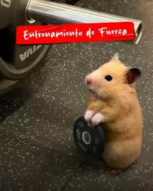 Catálogo GNC Página 3