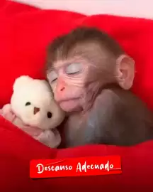 Catálogo GNC Página 4