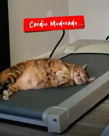 Catálogo GNC Página 5