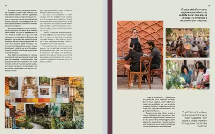 Catálogo Comex Página 11