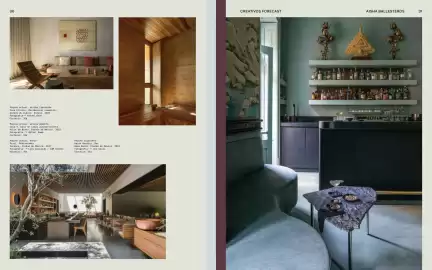 Catálogo Comex Página 17