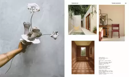 Catálogo Comex Página 43