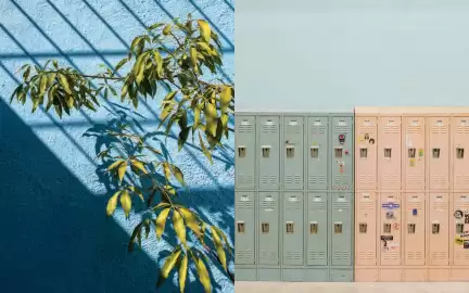 Catálogo Comex Página 6