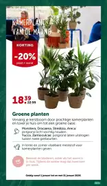 AVEVE folder Pagina 12